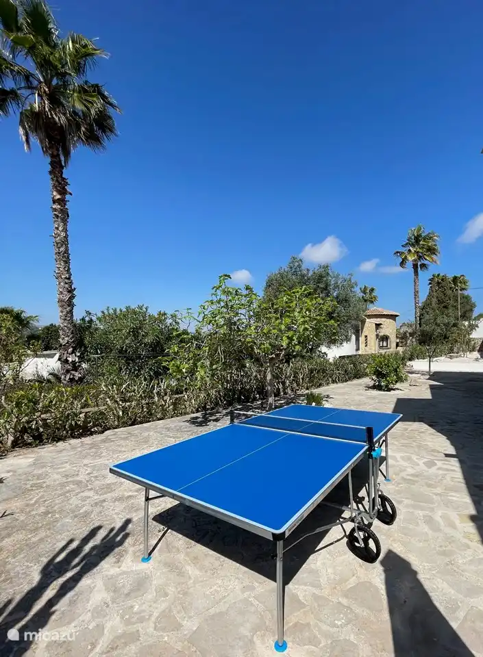 Table tennis? Bats and balls are also provided, so you don't need to bring them.