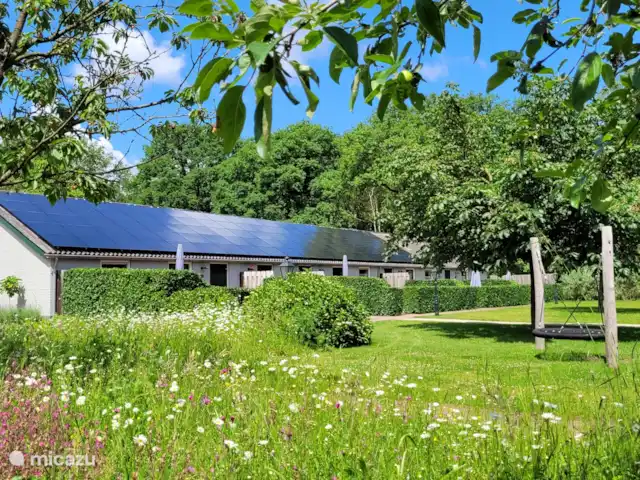 Maison de vacances Ruurlo | Pays-Bas, Gueldre, Ruurlo - maison de vacances Maison de vacances Ruurlo