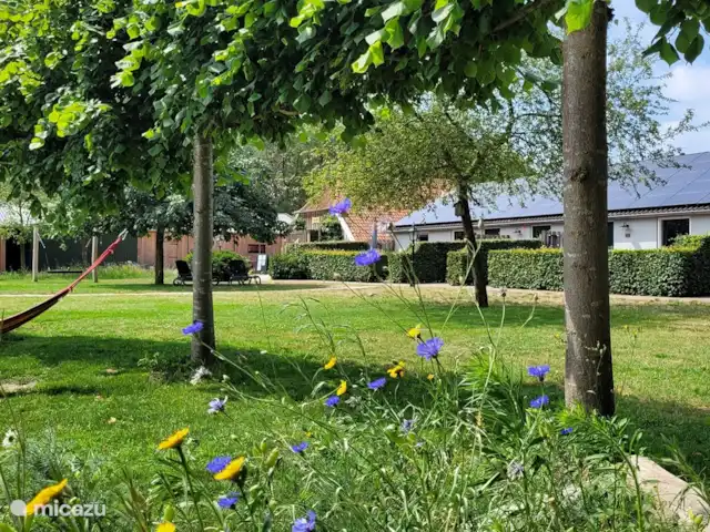 Maison de vacances Ruurlo | Pays-Bas, Gueldre, Ruurlo - maison de vacances Maison de vacances Ruurlo, au coeur de l'Achterhoek