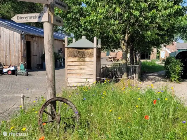 Maison de vacances Ruurlo | Pays-Bas, Gueldre, Ruurlo - maison de vacances Prairie fleurie sur place