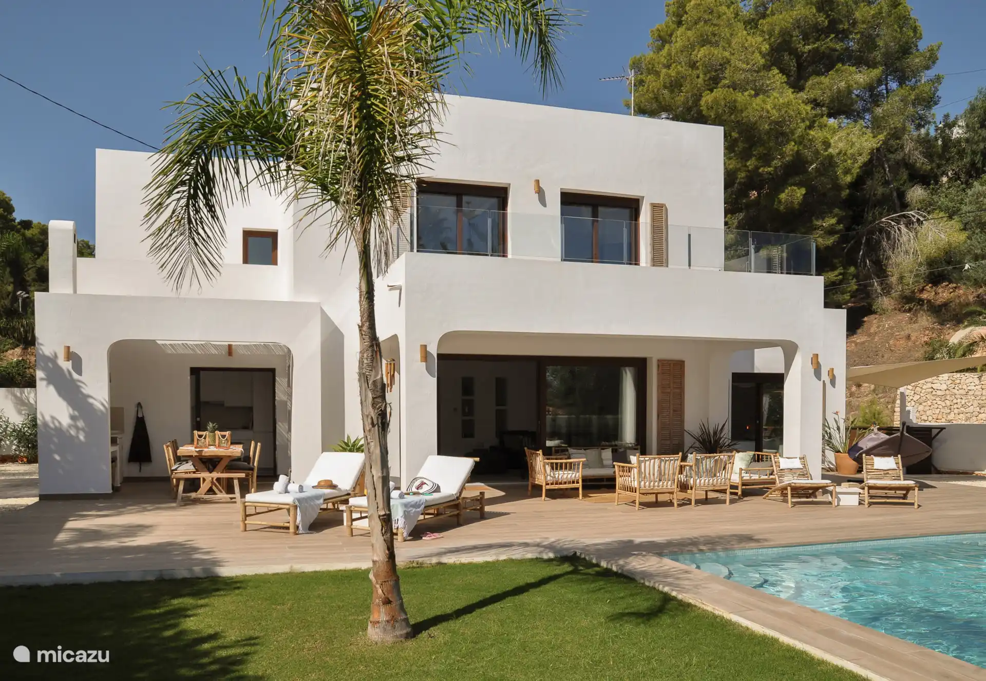 View from the garden