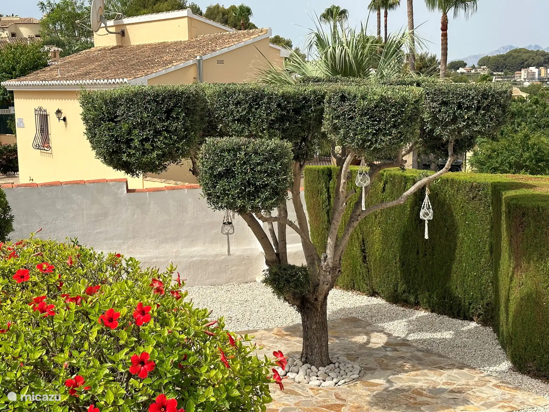 Der Garten wurde rundum neu gestaltet und neben den tropischen Pflanzen und Bäumen im Hinterhof haben wir auch die Vorderseite mit besonderen Olivenbäumen, Palmen und natürlich stimmungsvoller Beleuchtung in Angriff genommen.