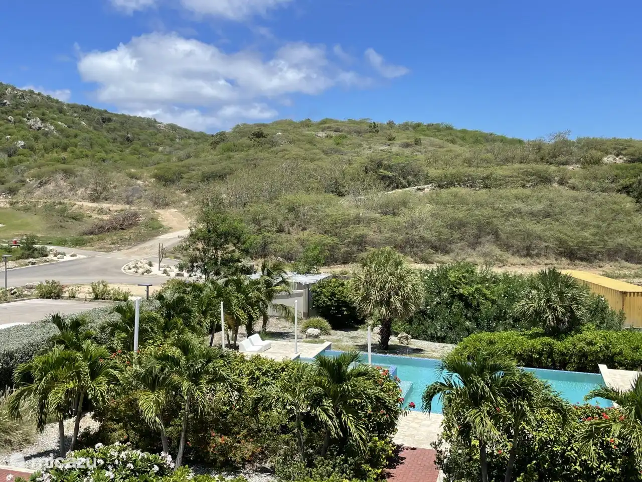 Jardin avec palmiers et piscine