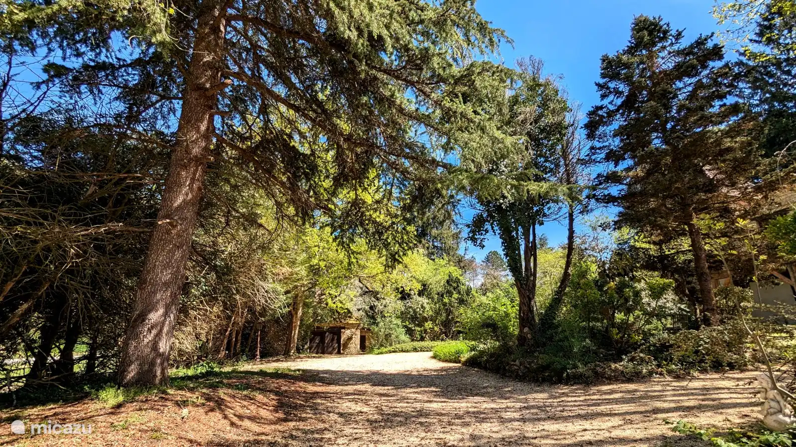 Schattenhaft, märchenhaft