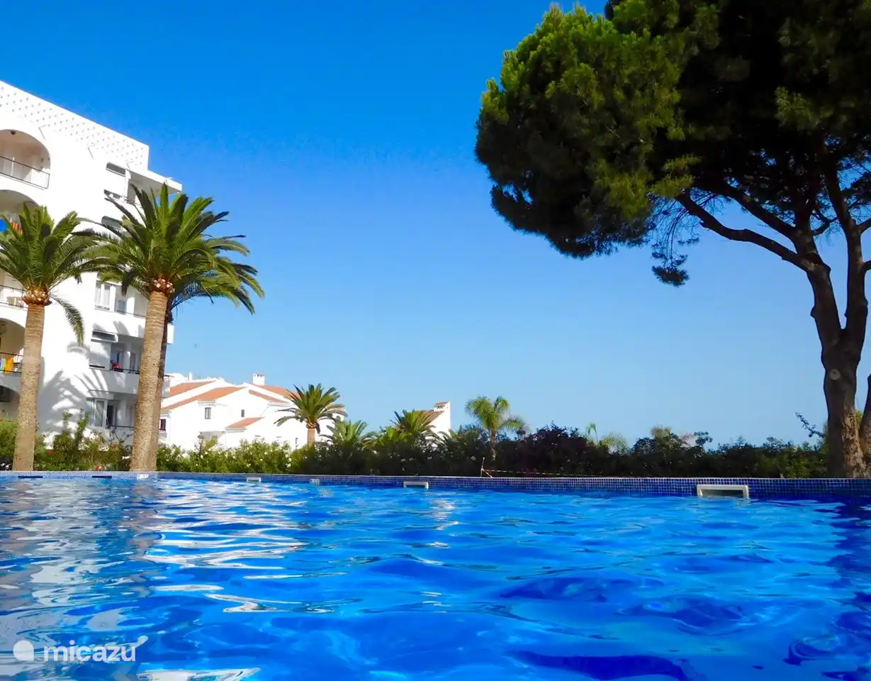 Schwimmbad und die Wohnung auf der rechten oberen Ecke