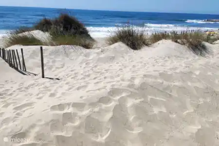 Dunes - Dunes
