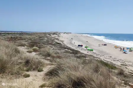 Dunes - Dunes