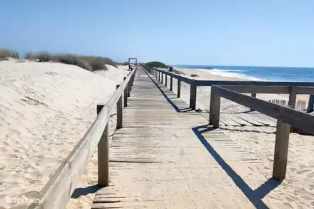 Dunes - Dunes