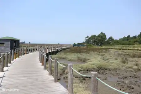 Aveiro