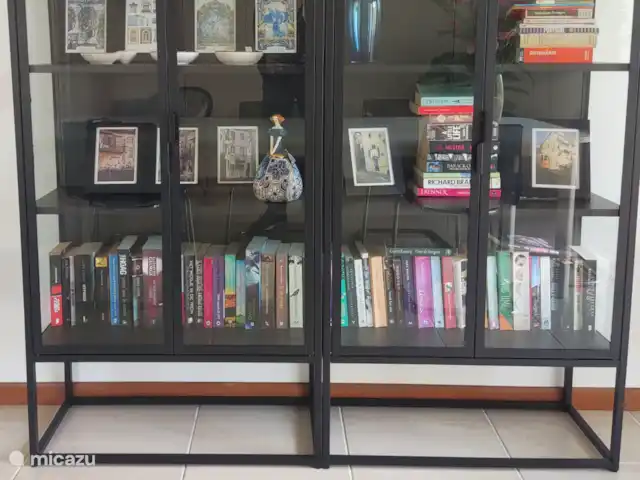 Vista das Dunas huren in Portugal, Costa Verde, Praia da Vagueira - vakantiehuis Goed gevulde boekenkast met actuele boeken