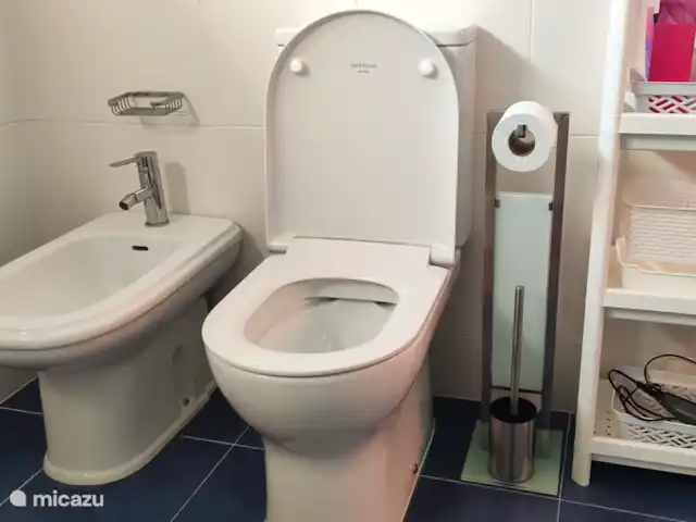 Vista das Dunas huren in Portugal, Costa Verde, Praia da Vagueira - vakantiehuis Compleet ingericht WC/badkamer voor jezelf.