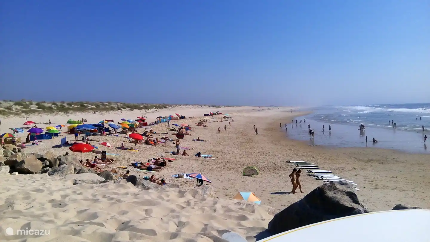 Sonnenbaden und Surfer beobachten, lustige Aktivität.