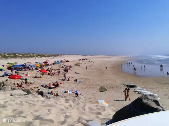 Vista das Dunas huren in Portugal, Costa Verde, Praia da Vagueira - vakantiehuis Zonnen en naar de surfers kijken, leuke bezigheid.