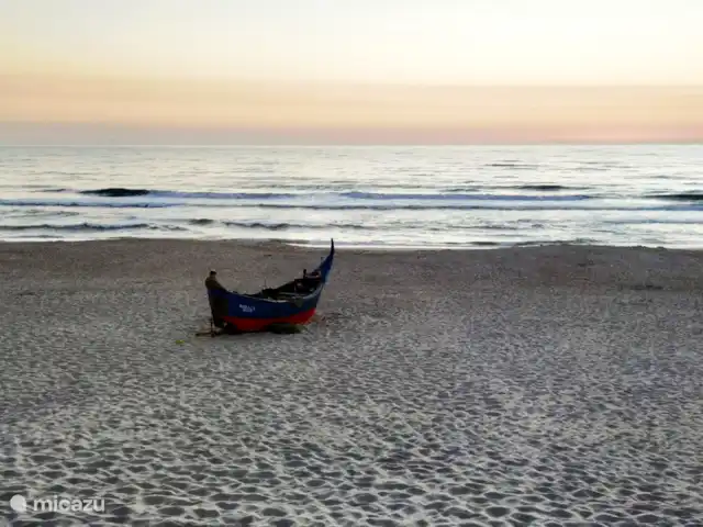 Vista das Dunas huren in Portugal, Costa Verde, Praia da Vagueira - vakantiehuis Met een beetje geluk kan je de vissers zien uitvaren, aan het noordelijk deel van het strand,