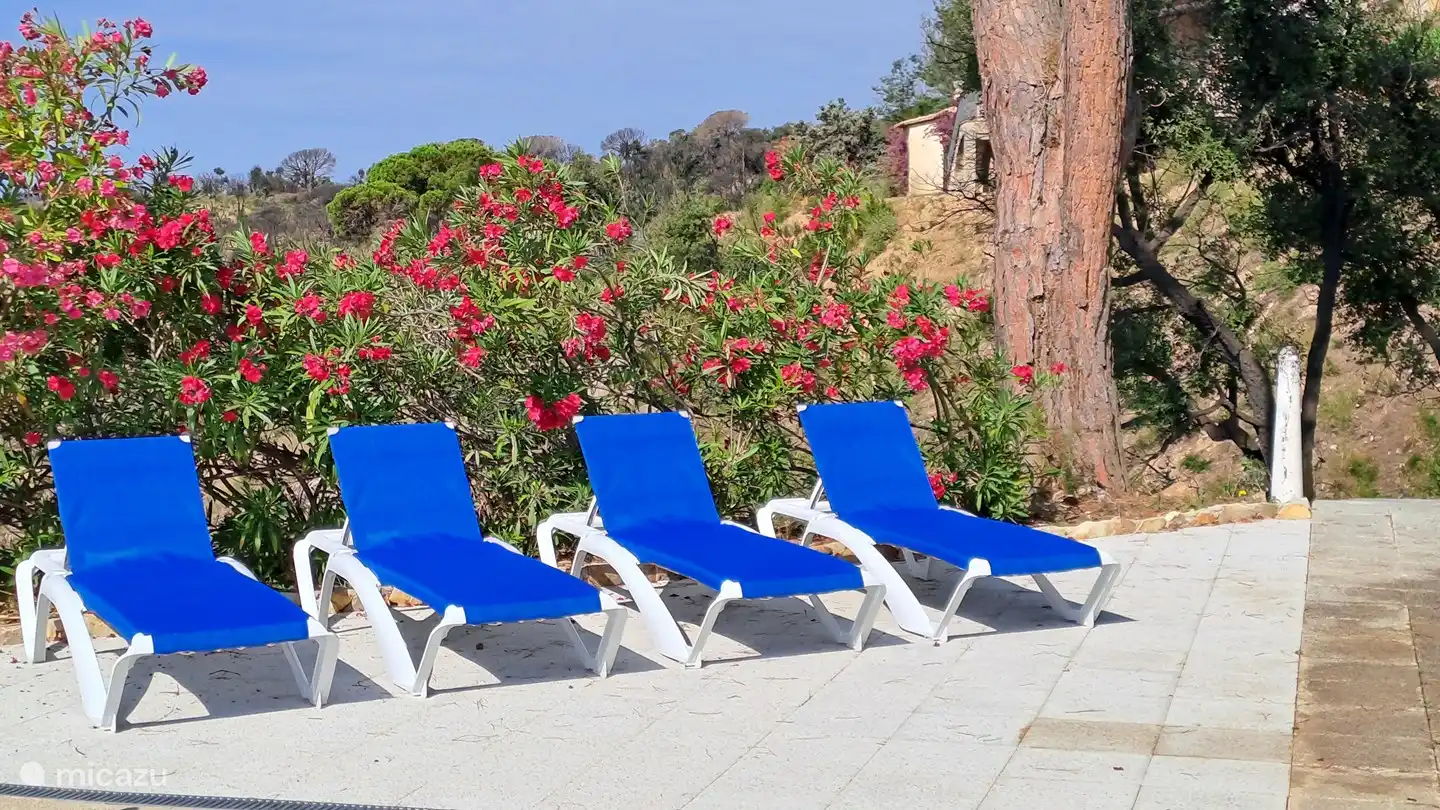 Westterrasse am Pool