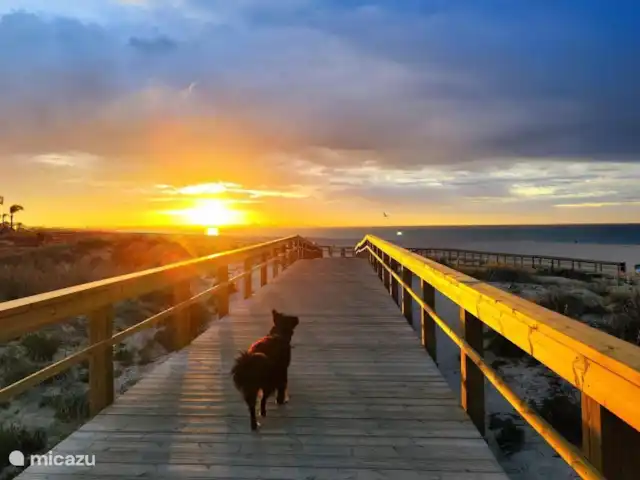 Apartamento 'muito sol' en Portugal, Algarve, Lagos - apartamento El paseo marítimo detrás de Meia Praia, playa de Lagos.