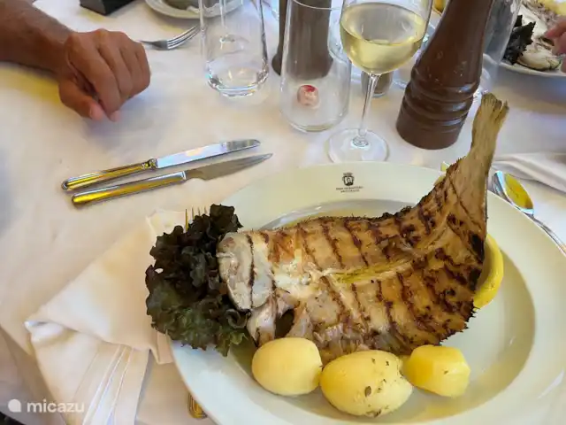 Apartamento 'muito sol' en Portugal, Algarve, Lagos - apartamento Elija entre docenas de restaurantes.