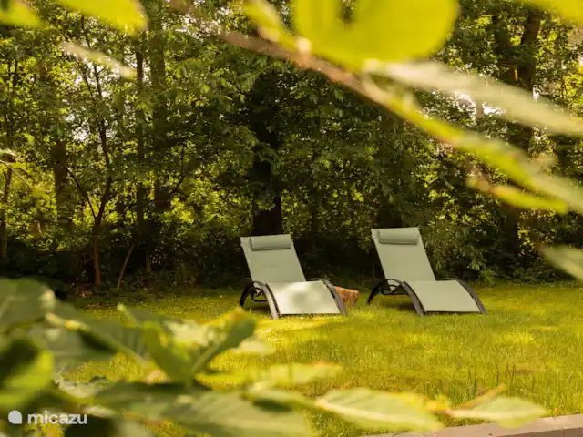 Norger Owl et Morgenster Groepsacco | Pays-Bas, Drenthe, Norg - maison de vacances
