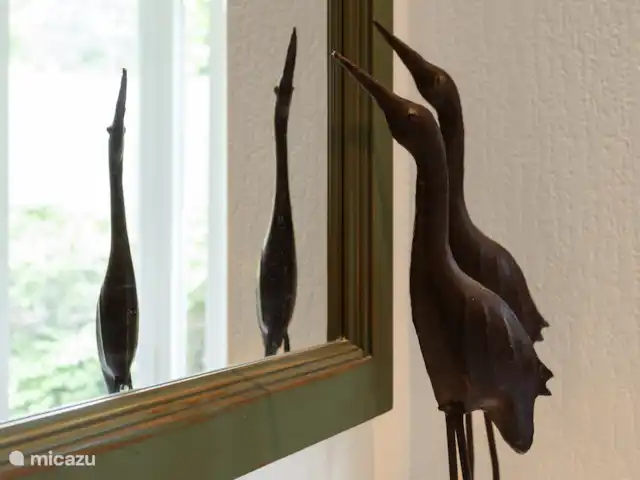 Norger Owl et Morgenster Groepsacco | Pays-Bas, Drenthe, Norg - maison de vacances