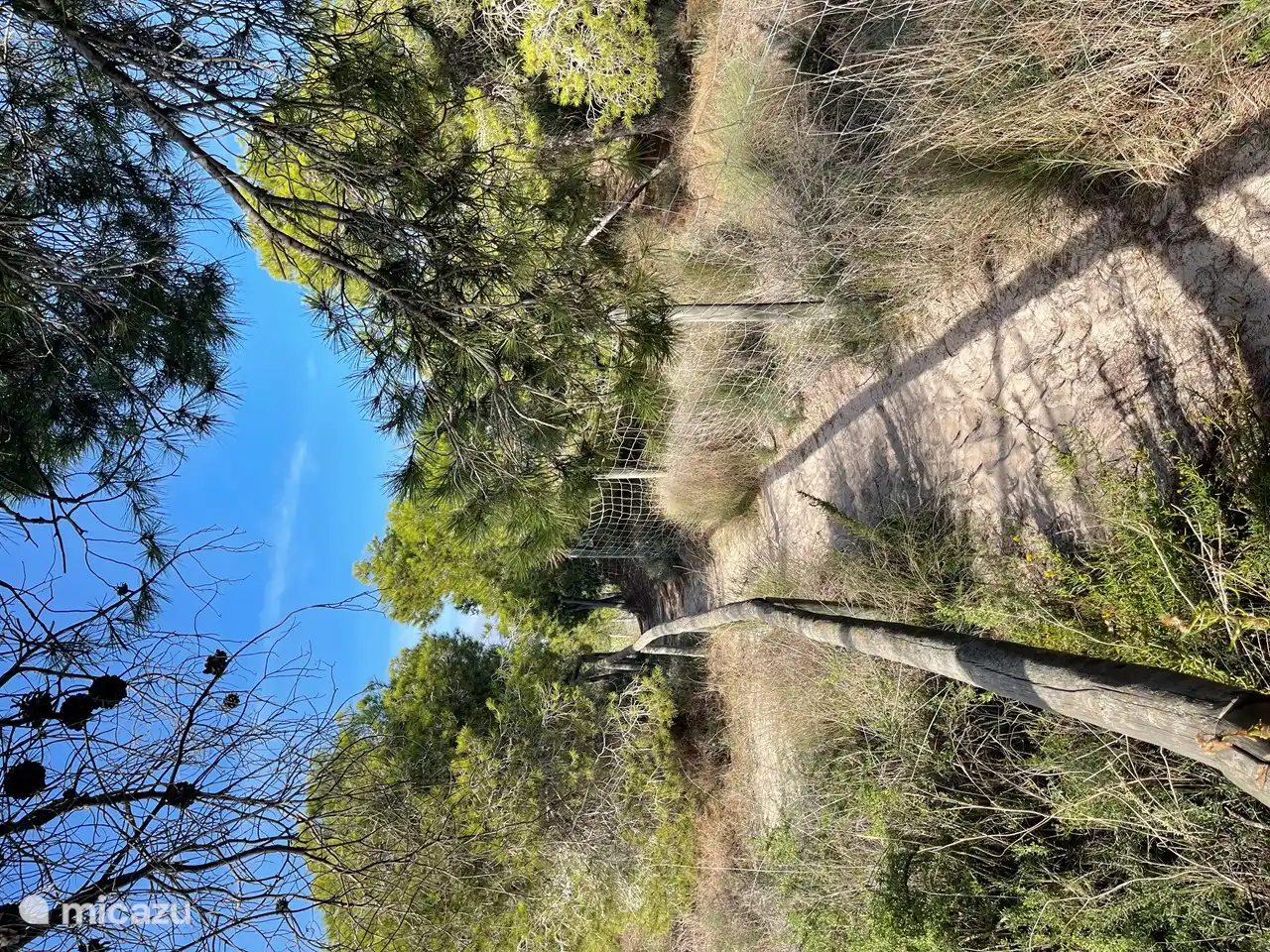 Wandern durch die Naturschutzgebiete mit all ihren Vögeln.