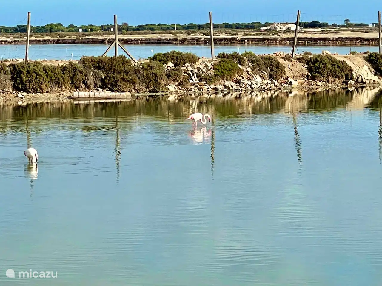 Die Salzseen bieten viele Leckereien...
