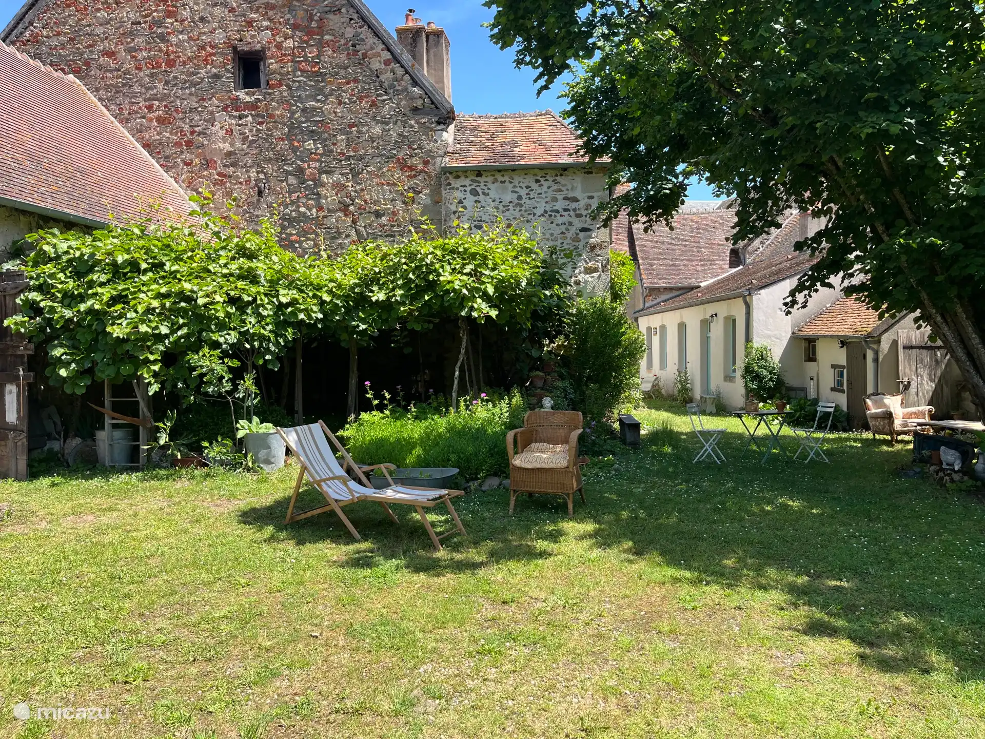 garden