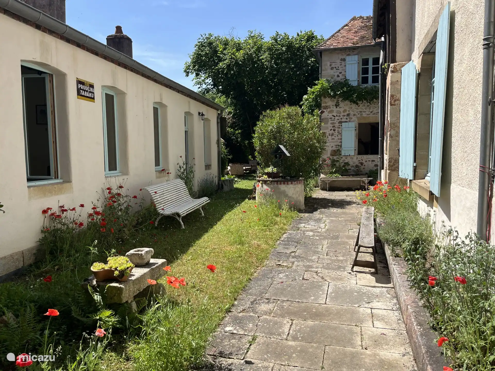 garden