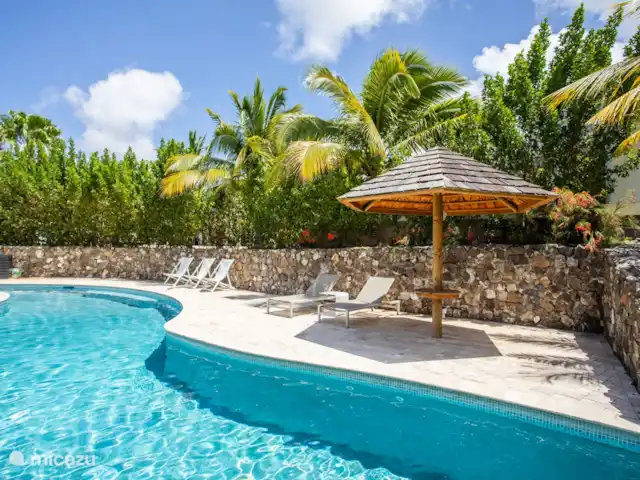 Jan Sofat LUX A08 | Curaçao, Banda Ariba (est), Jan Sofat - appartement Piscine d'eau salée commune au complexe.
