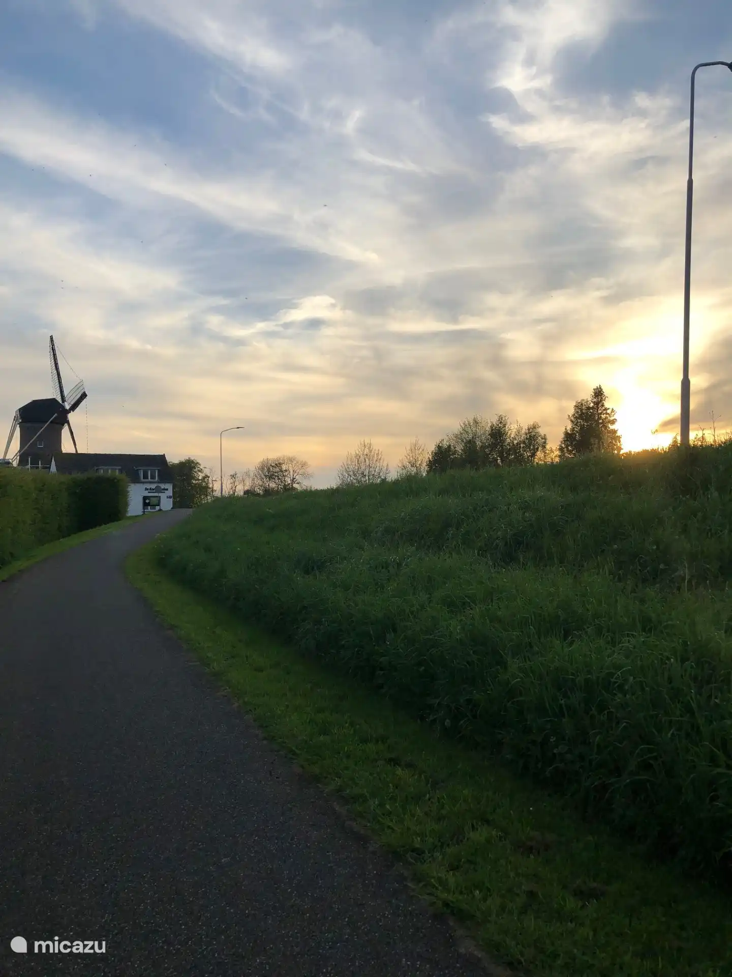 De molen in Maasbommel