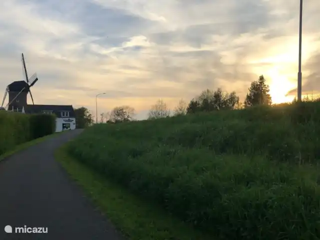 Fietsen, Nederland, Gelderland, Maasbommel, vakantiehuis Watervilla met eigen aanlegsteiger De molen in Maasbommel