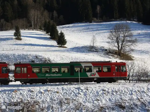 Location de Vacances Autriche, Styrie, Murau, maison de vacances - Chalet Prince