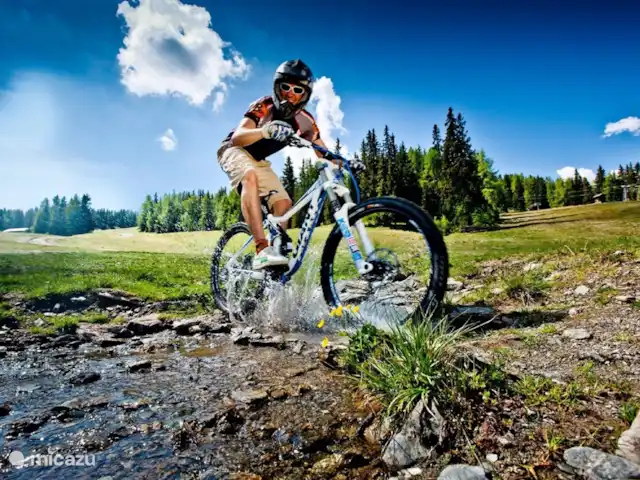Location de Vacances Autriche, Styrie, Murau, maison de vacances - Chalet Prince Centre de VTT en été