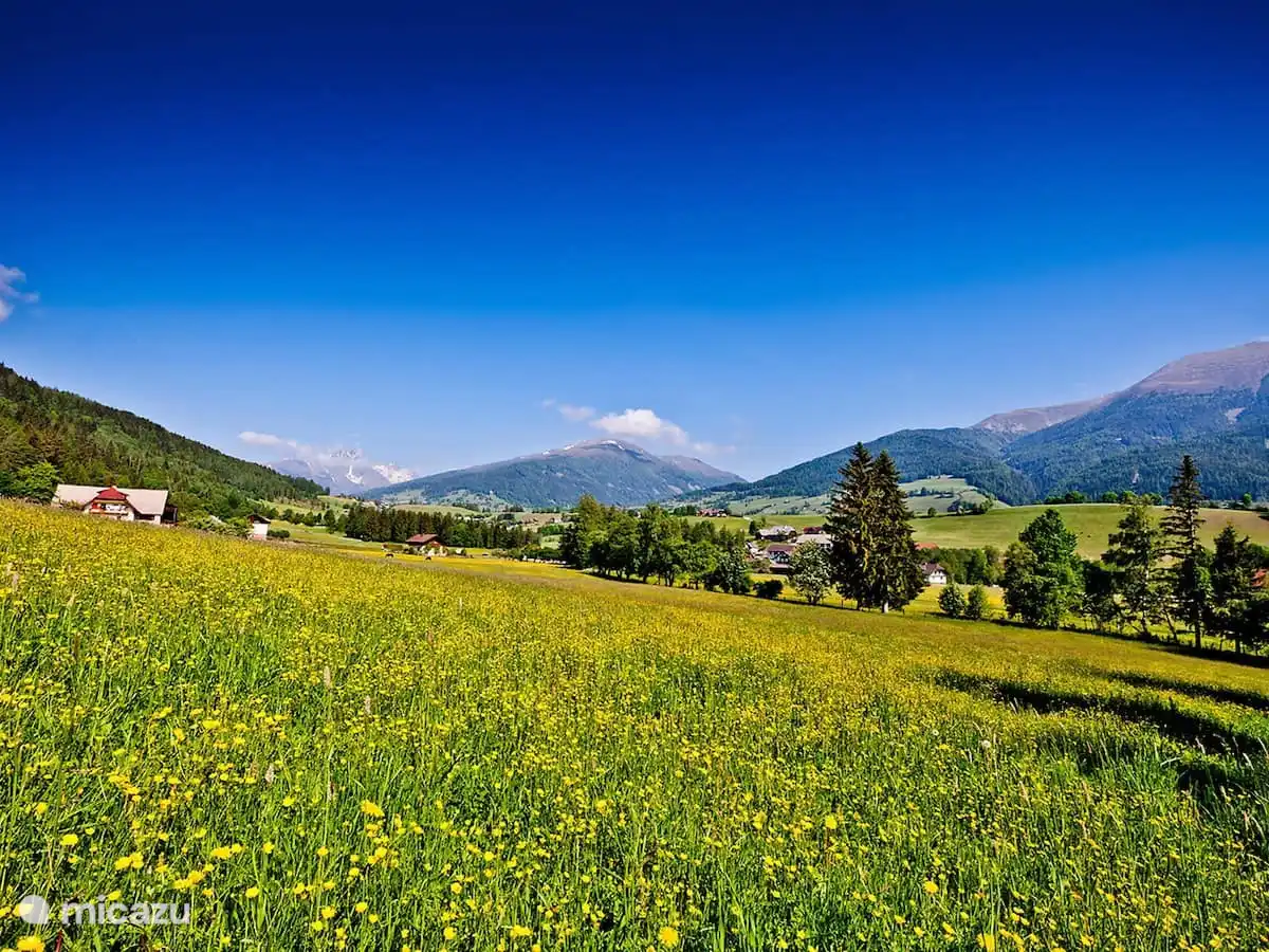 Frühlingsimpressionen