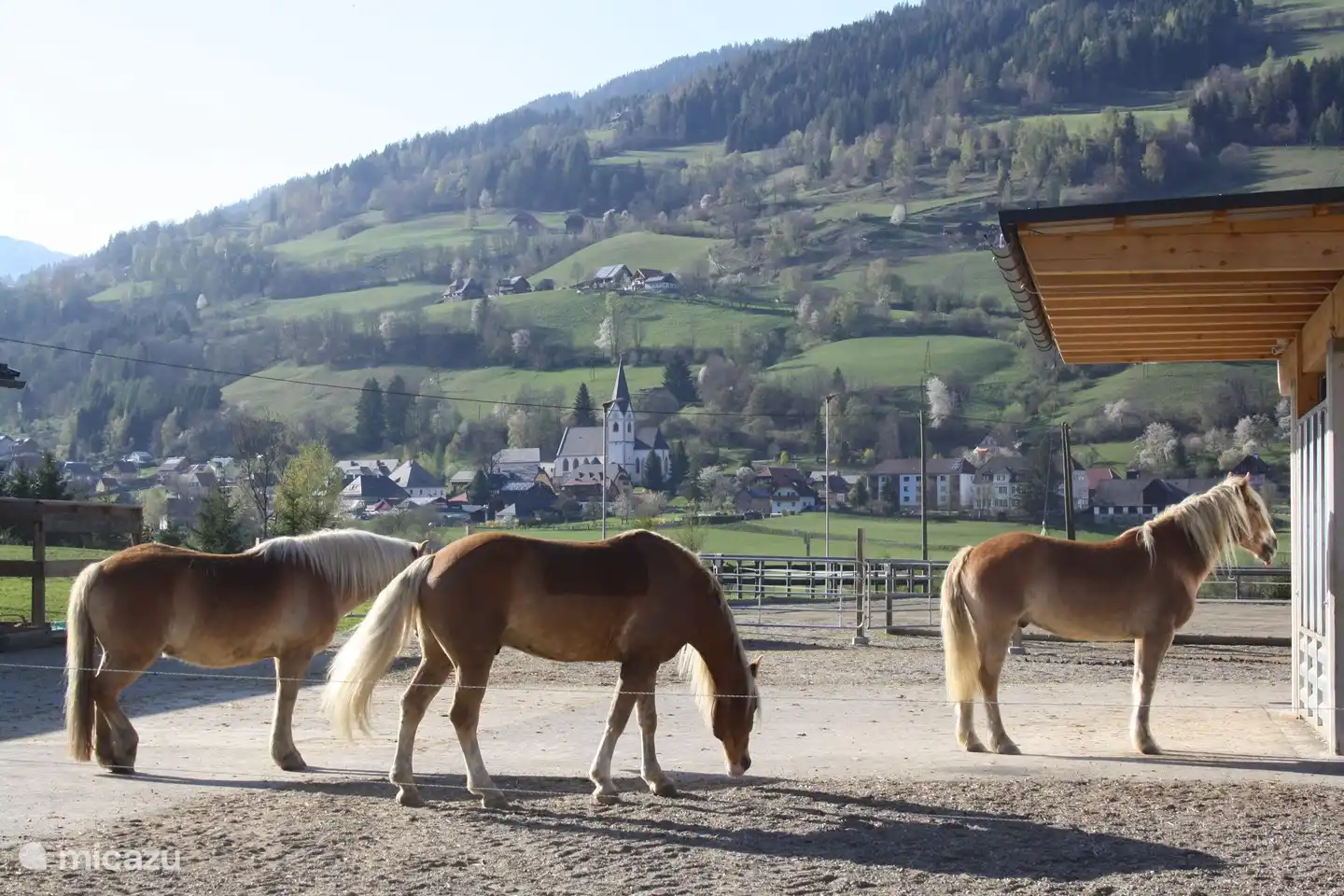 Reiterhof in unmittelbarer Nähe