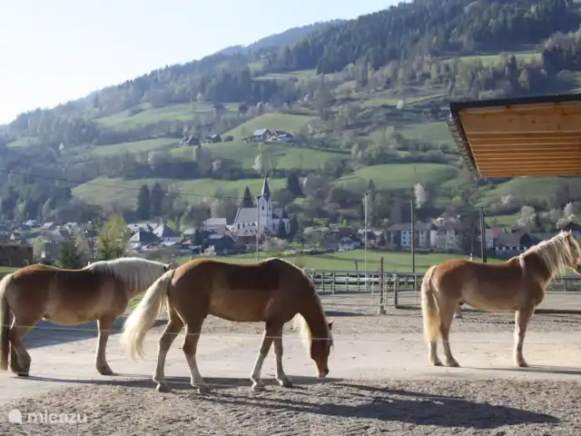 Location de Vacances Autriche, Styrie, Murau, maison de vacances - Chalet Prince Centre équestre à proximité immédiate