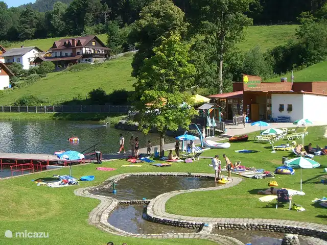Location de Vacances Autriche, Styrie, Murau, maison de vacances - Chalet Prince Piscine extérieure de Murau