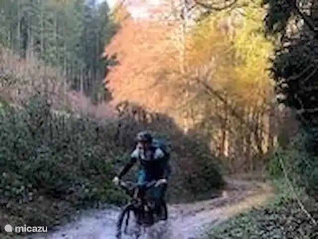 Gîte de l'ermitage | France, Nièvre, Ouroux-en-Morvan - gîte / cottage VTT dans le Morvan