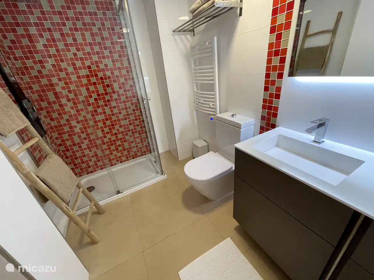 Salle de bain avec douche, WC, lavabo et radiateur