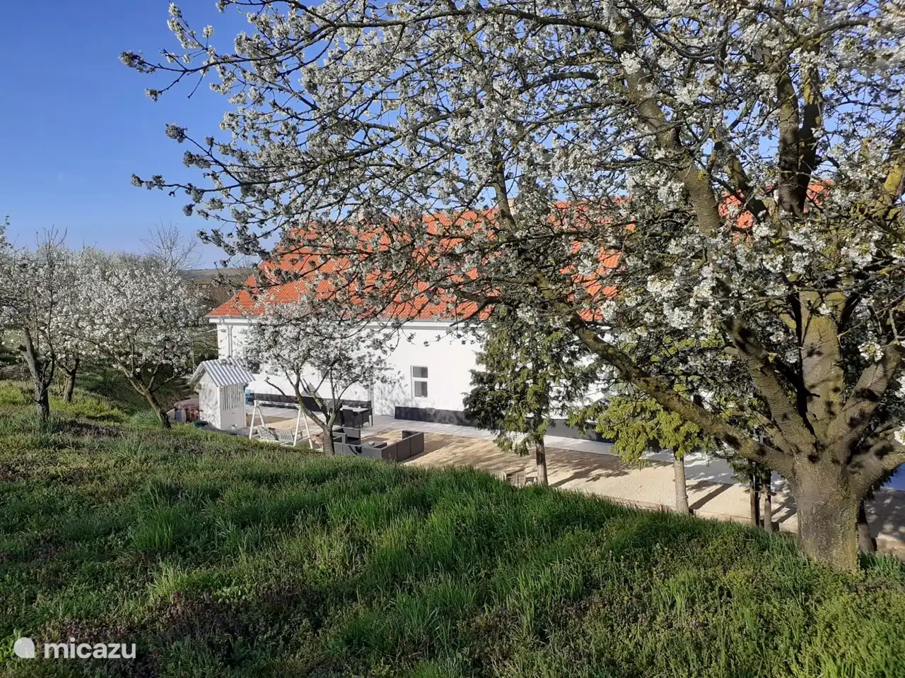 Ferienhaus in Ungarn mieten? Micazu