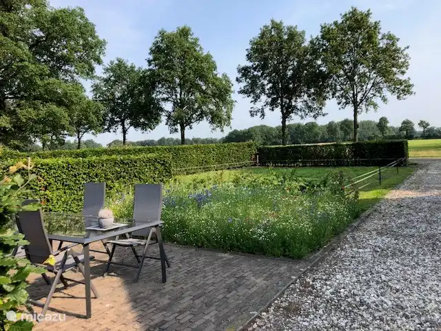 Allée privée avec terrasse ensoleillée.