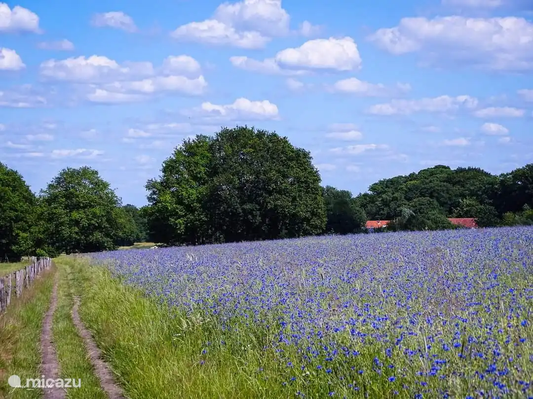 Réserve naturelle de Springendal