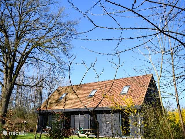 Holiday home in Netherlands, Overijssel, Enter - holiday house Hunting lodge max.2 persons