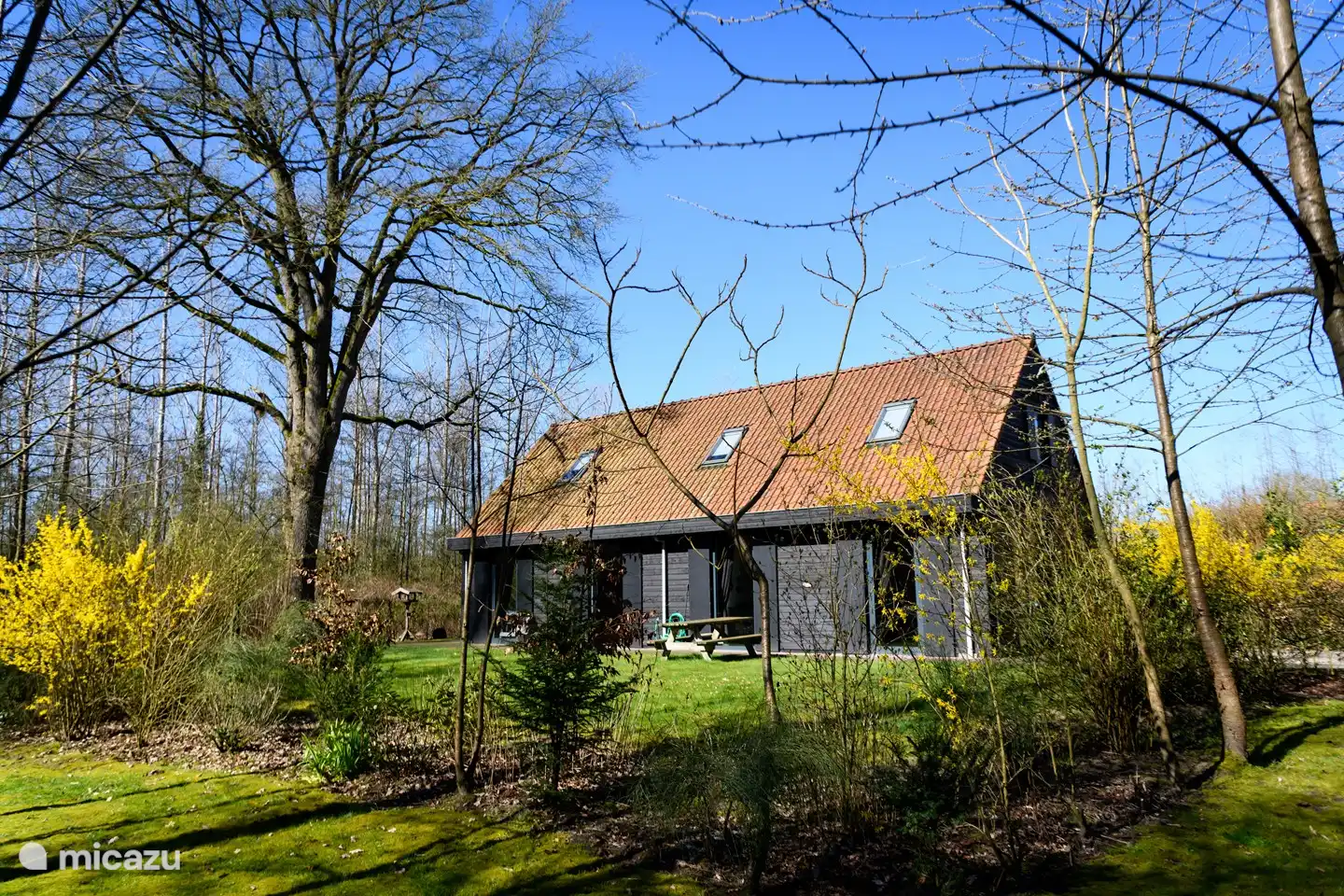 Jagdhütte Eintreten