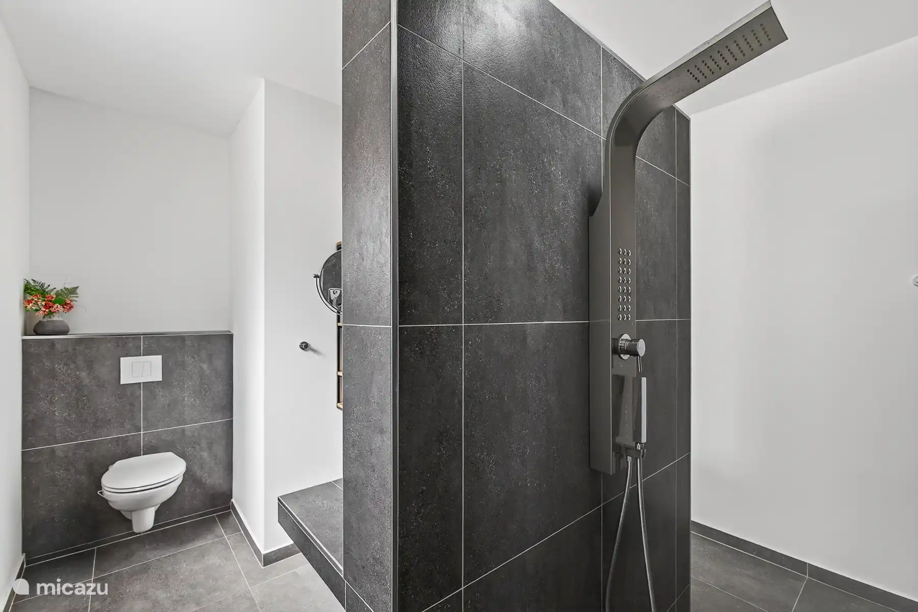 Strakke badkamer met inloopdouche, toilet en moderne regendouche.