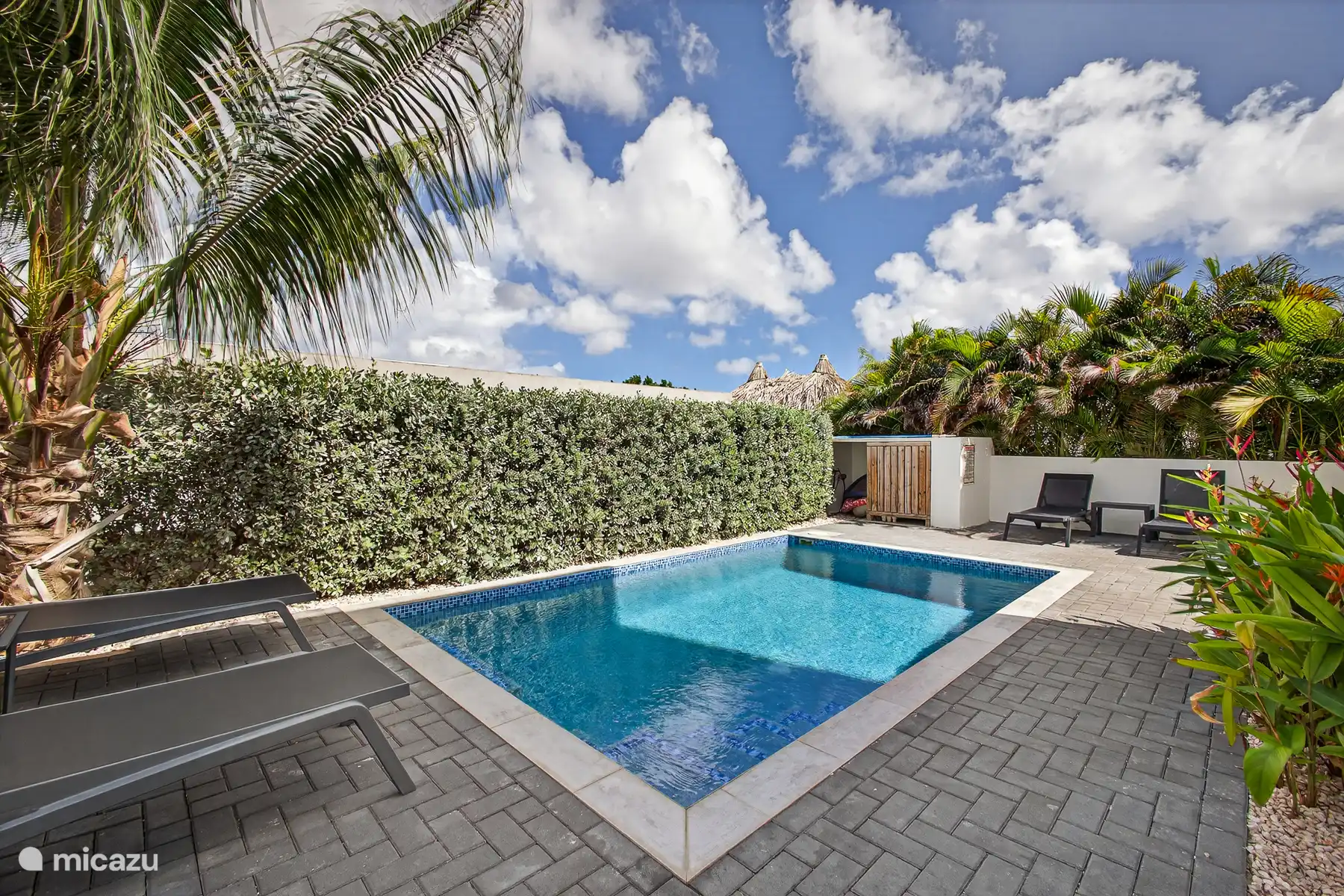 Privézwembad met ligbedden en groene omheining voor extra privacy.