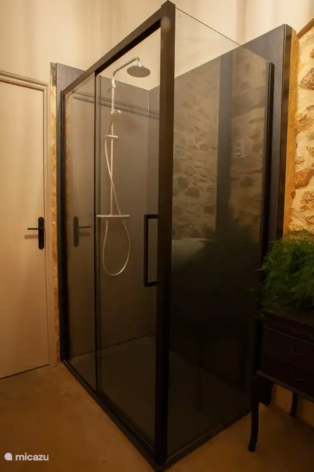 Cabina de ducha de lujo