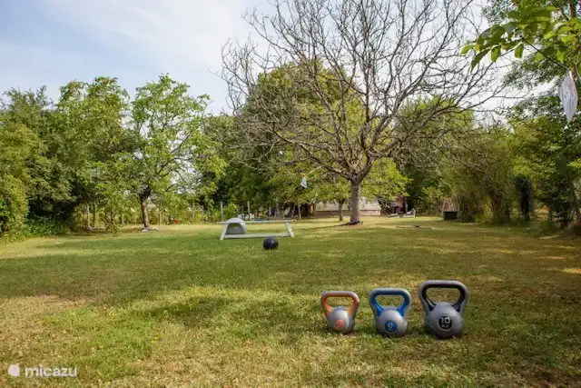 ¿Hacer ejercicio por la mañana?