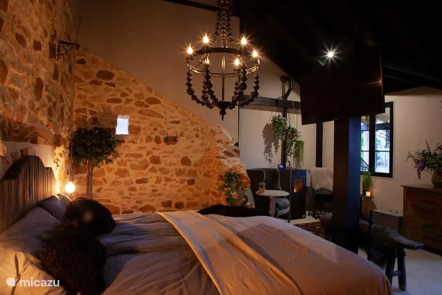 Ver la televisión en la cama