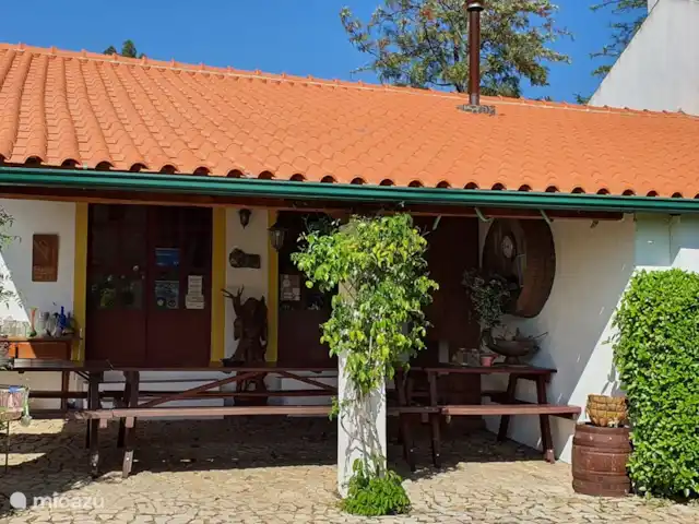 Application Quinta Flores. Bougainvillier | Portugal, Santarém, Ferreira do Zêzere - appartement Zone générale avant