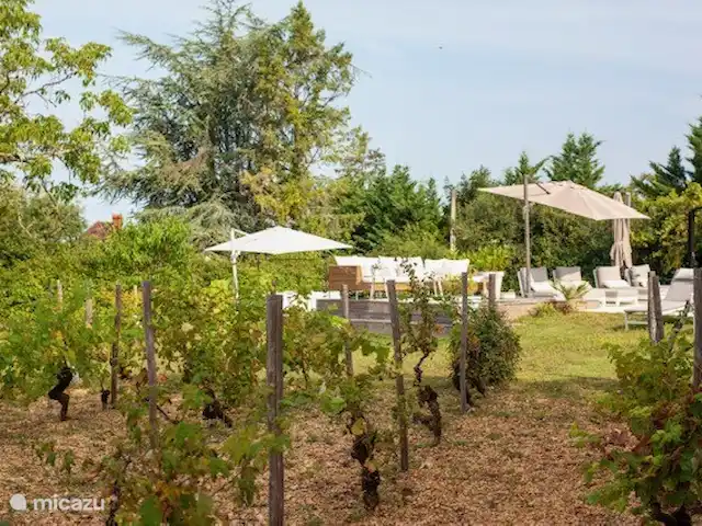 Le Lavande | France, Lot, Loupiac - glamping / tente safari / yourte Notre vignoble